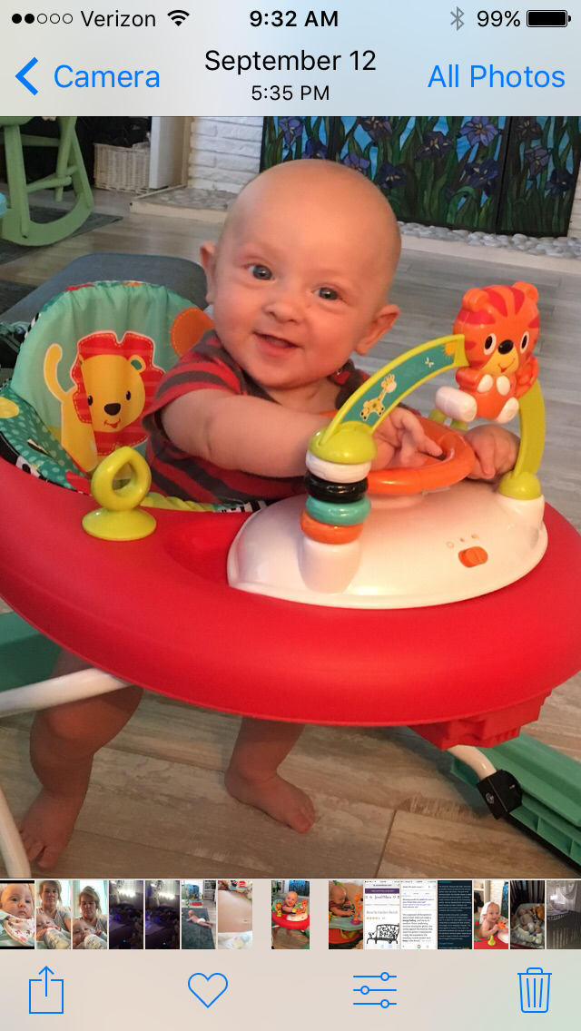 Avatar for Seascapes